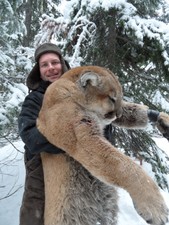 Mountain lion hunting in Montana and Idaho